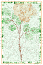 distressed-frame